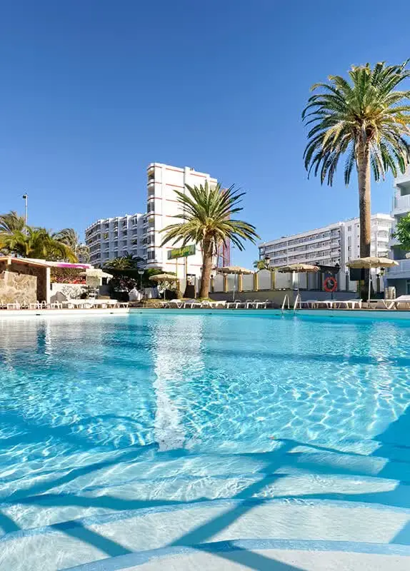 Pool mit Palmen und blauem Himmel
